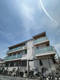 ウィキペディアの画像