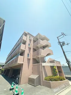 エムス金剛Ⅱの画像