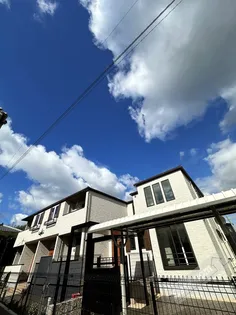 メロウ スイートの画像