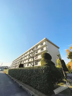 泉北宮山台団地3号棟【1階】の外観