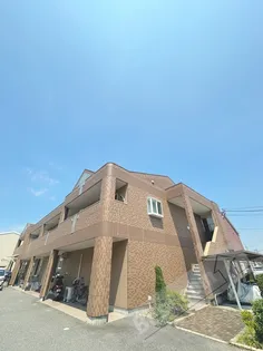 SUNROYALの画像