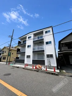 TIO VERDEの画像