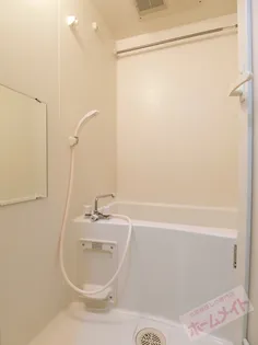 フジパレス式内町Ⅲ番館【2階】の風呂