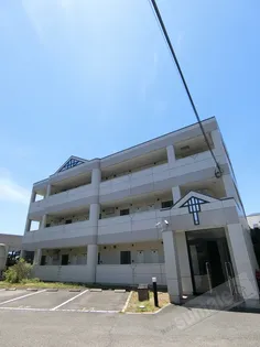 ピースフル モア メルセの画像