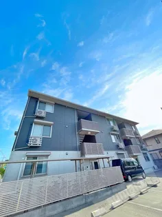 コモド アイの画像