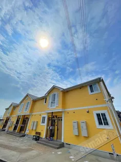 ラフィネ花水木の画像