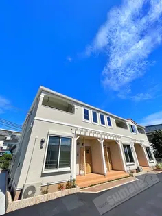 オリーブの画像