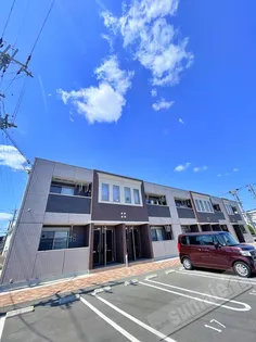 モイスシャームMの画像