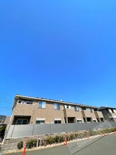 ビオーラ クスミールの画像
