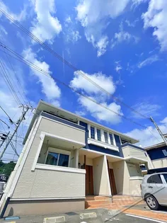 カテュルスフェリスⅠの画像