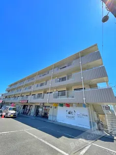 ランデックス恵の画像