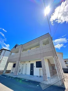 ルピナス21の画像