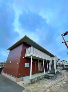 ピーヌス カウダの画像