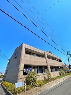 ゼン アムールの画像