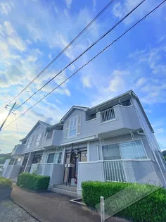 パノラ クーボの画像