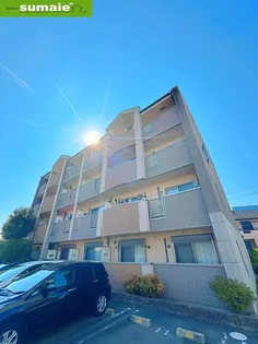 トゥリパーノの画像