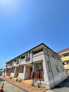 ブルーミー THの画像