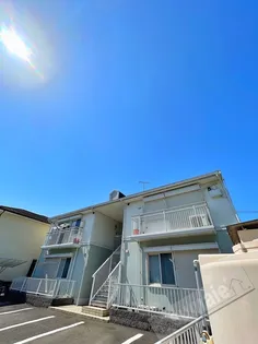 フレグランス秋桜の画像