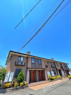 ピュア フェリーチェの画像