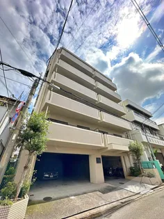 シティハイツメープル【8階】の外観