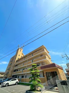 スペイシャル紀の川の画像