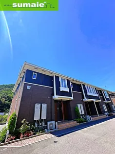 エトワールアソカBの画像