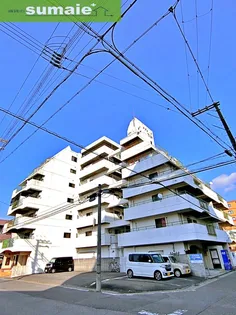 マグノリアの画像