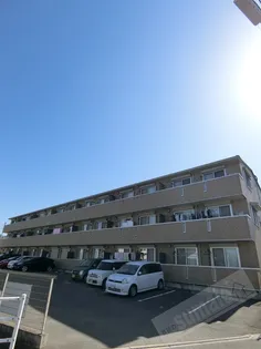 メゾン・ド・プルミエ【1階】の外観