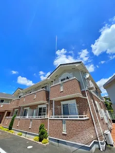 プリムローズ IIの画像