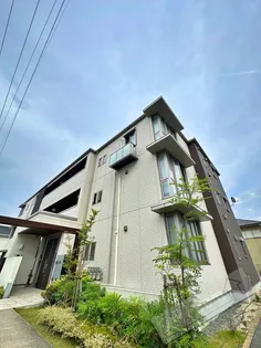 ベレオ BRILLIANTの画像