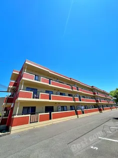 IVYーSQUAREの画像