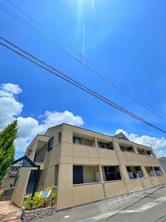 カトル カールの画像