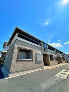 サニーホワイトⅥの画像