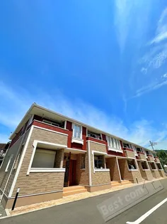 サウス ルミナスの画像