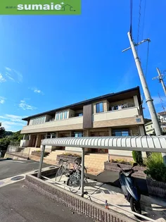 サニーホワイトⅦの画像