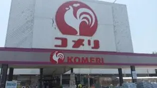 ゲミューゼガルデンⅢ【1階】の周辺