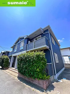 セーリウス梅原Ⅱの画像