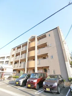 トゥリパーノの画像