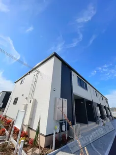 ヴァーサ メローネⅡの画像