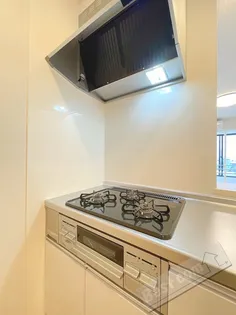 ゲミューゼガルデンⅢ【1階】のキッチン