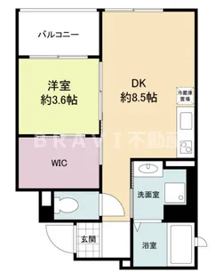 アリス・マナーガーデン谷町【8階】の間取り