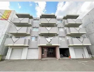 グレイス発寒の画像