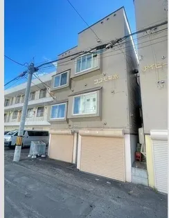 コスモ菊水の画像