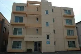 ノースフィラの画像