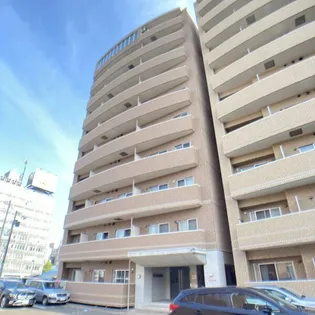 サンティパープの画像