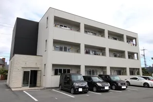 ラッフィナートの画像