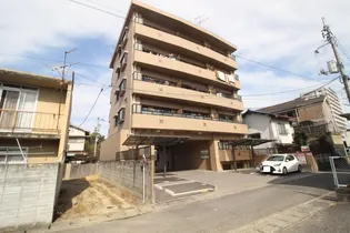 エルフィンの画像