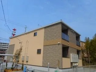 ココ 松葉の画像