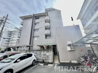 シャルムフジの画像