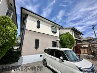 パナメゾンアオキの画像